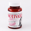 �u���`�x�[�^�[�iMotivator�j�v
�y�K�p�l�Q�z�F�s����&middot;���~���R